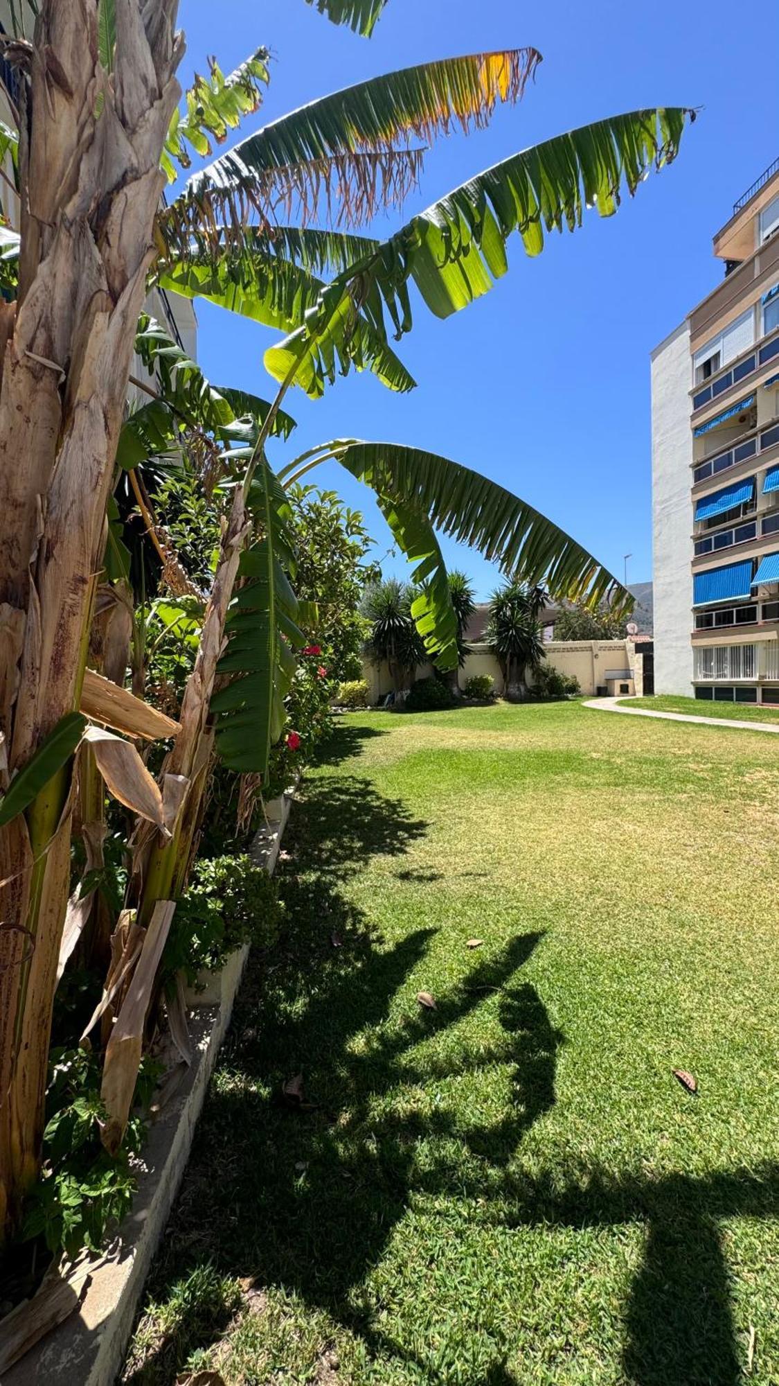 Cactus Stay Apartamento Torremolinos Exteriör bild